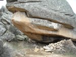 DSCN1666..jpg