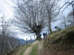 IMG_9205..JPG