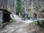 IMG_9190..JPG