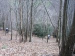 IMG_9258..JPG
