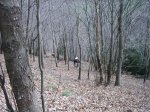 IMG_9256..JPG