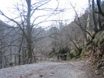 IMG_9194..JPG
