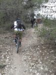 SDC10110..jpg