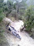 Imagen0023..jpg