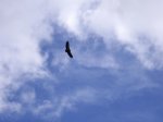 IMGP0785..jpg