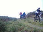 MARCHA AL MONTE ALB&.jpg