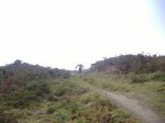MARCHA AL MONTE ALB&.jpg