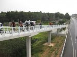 IMG_1972..jpg