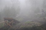DSC_0032..JPG