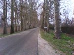 DSC00175..jpg