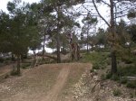 salto 4 m..JPG