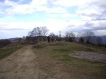 IMGP0768..jpg