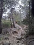 21032010437..jpg