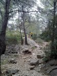 21032010436..jpg