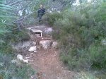 20032010(010)..jpg