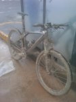 IMG00007-20100321-1&.jpg
