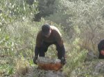 Trabajando en la Champi 005.JPG