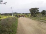 Foto0044..jpg
