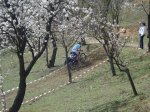 DSC04537..jpg