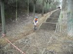 2010_0321Parqueso&#108.jpg