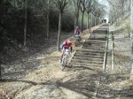 2010_0321Parqueso&#108.jpg