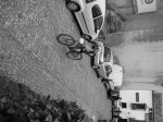 DSC06169..jpg