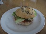 IMG_5101 [Desktop .jpg