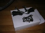 DSCN3553..jpg