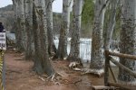 Imagen 806..jpg