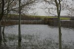 Imagen 085..jpg