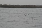 Imagen 083..jpg