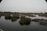 Imagen 063..jpg