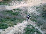 17032010036..jpg