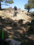 PICT0154..jpg