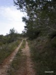P3190013..JPG