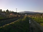 22032010_014..jpg