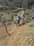 IMG00189-20100321-1&.jpg