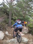 IMG_2843..JPG