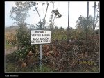 IMG_0628..JPG