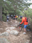 Orange1pequeÃ±o..gif