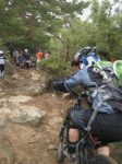 Nestor2..gif