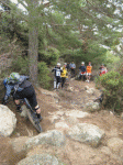 Nestor1..gif