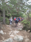 Alvaro1..gif