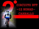 PROYECTO 2..jpg