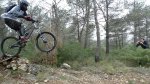 P1090527..jpg