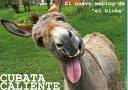 burrete..jpg