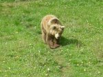 Senda del Oso 22-&#4.jpg
