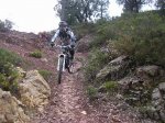 P1018315..JPG