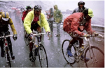 gavia3dg1.png