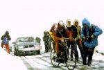 Van der Velde-Gavia 88.jpg